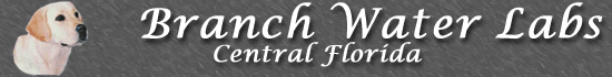 Branch Water Labs, Central Florida